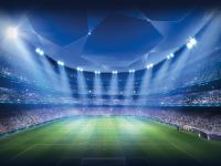 FB体育官网-帕尔默的指挥棒，当牙买加雷鬼节奏遇上突尼斯沙漠之风