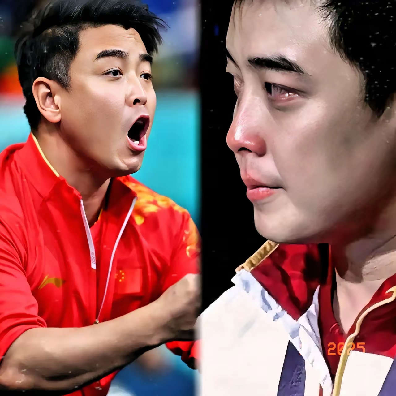 日本乒乓球队翻盘英国乒乓球队,王皓惊艳世界的简单介绍 日本乒乓球队翻盘英国乒乓球队,王皓惊艳世界的简单介绍