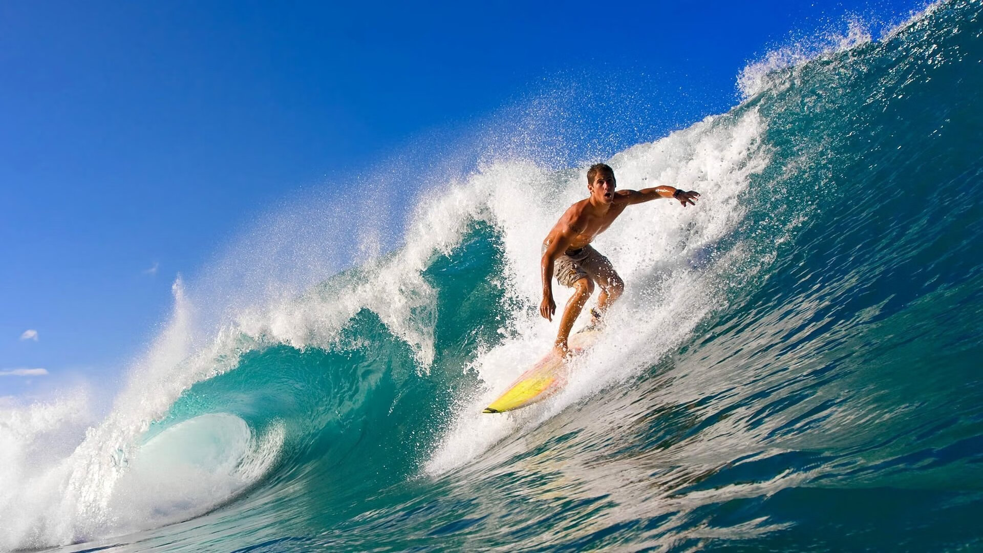 绿茵场上的存在感博弈，C罗的永恒光芒与牙买加粉碎厄瓜多尔的黑马启示